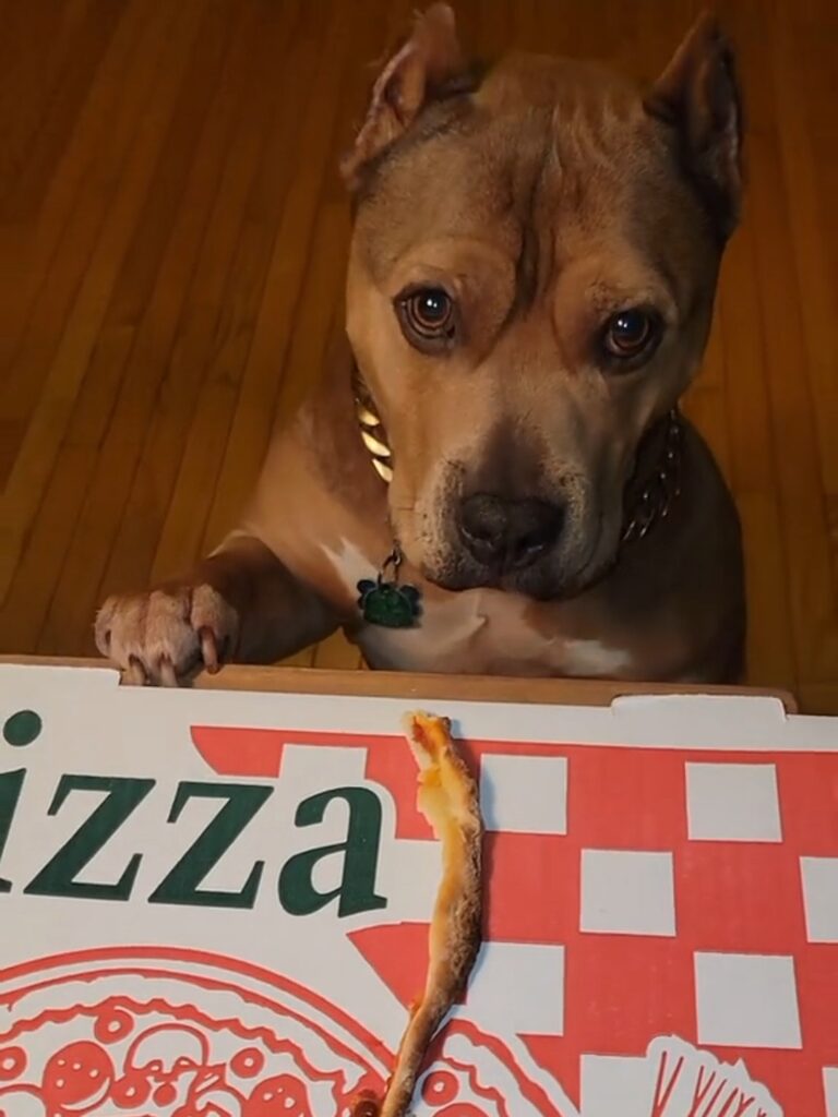 This image has an empty alt attribute; its file name is 071120-768x1024.jpg