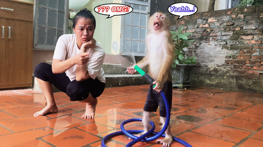 This image has an empty alt attribute; its file name is image-239-1024x576.png