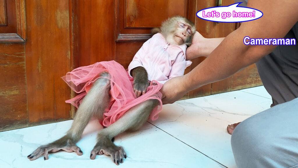 This image has an empty alt attribute; its file name is grg-1024x576.jpg